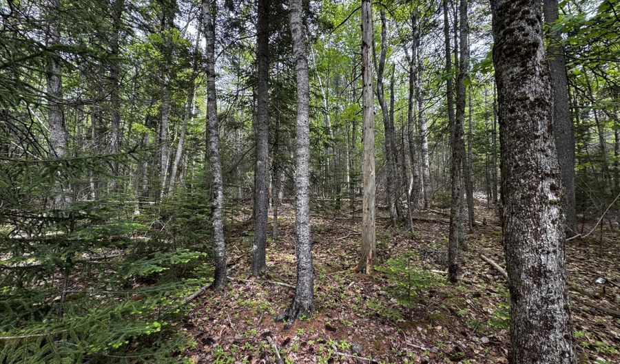 Hadley Point Road lot 0, Bar Harbor, ME 04609 - 0 Beds, 0 Bath