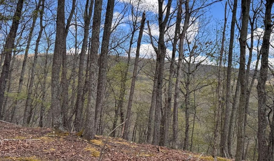 5 COVE Crk, Baker, WV 26801 - 0 Beds, 0 Bath