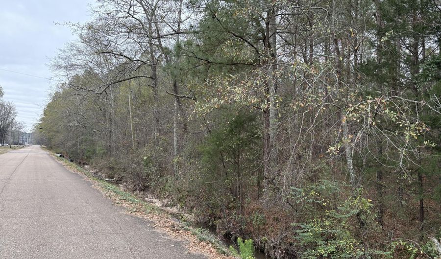 Parkview Dr, Amory, MS 38821 - 0 Beds, 0 Bath