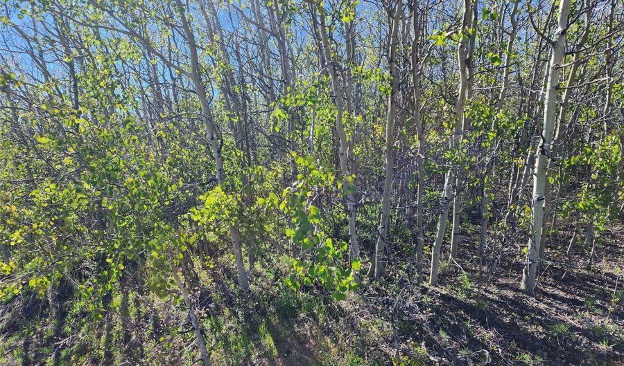 NHN Alpha Lode & Alpha Fraction Lode Alpha Trail, Anaconda, MT 59711 - 0 Beds, 0 Bath