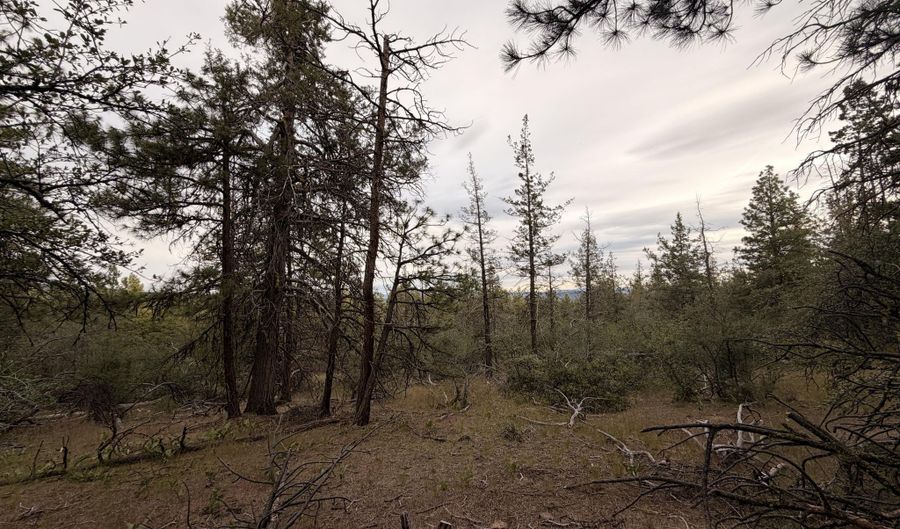 Porpoise Lane 15, Bonanza, OR 97623 - 0 Beds, 0 Bath