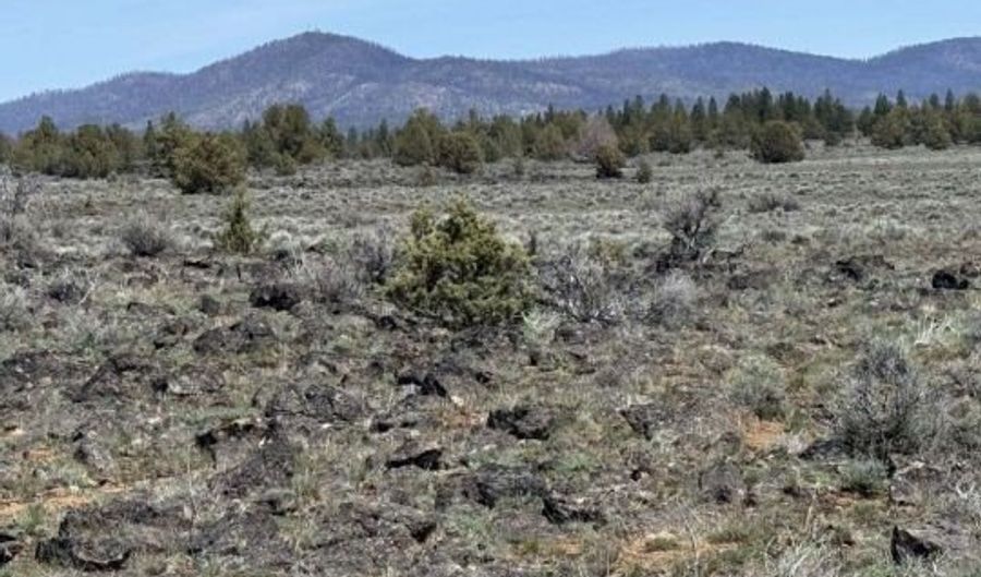 Oregon Pines Road, Beatty, OR 97621 - 0 Beds, 0 Bath