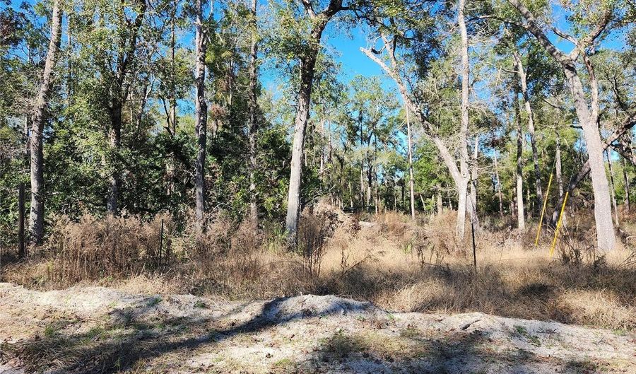 SW 13TH STREET, Bell, FL 32619 - 0 Beds, 0 Bath
