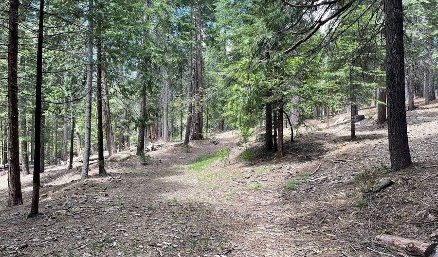 37 Iroquois Dr, Camp Connell, CA 95223 - 0 Beds, 0 Bath