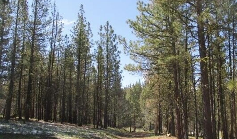 Partin Drive 2-3, Beatty, OR 97621 - 0 Beds, 0 Bath