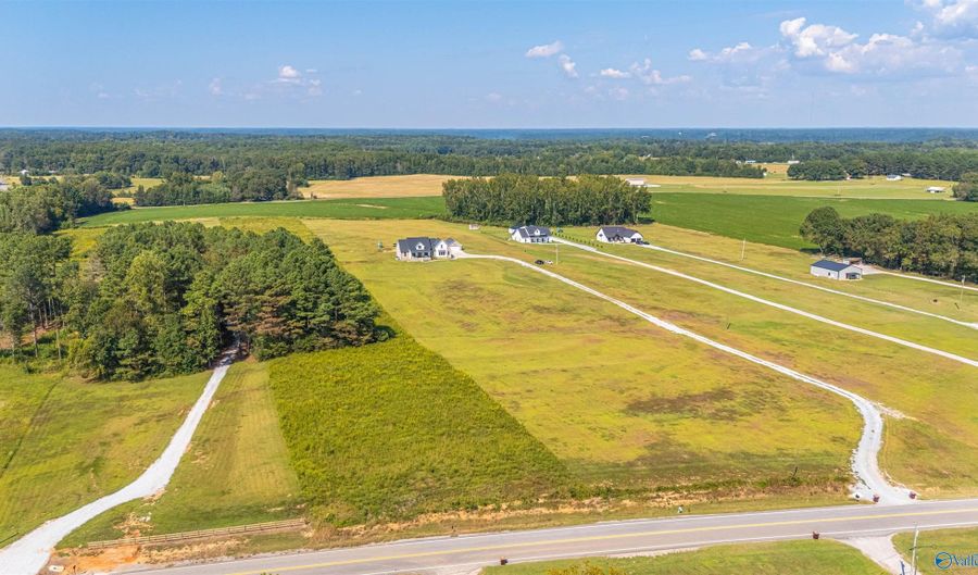 34180 Alabama Highway 99, Anderson, AL 35610 - 4 Beds, 4 Bath