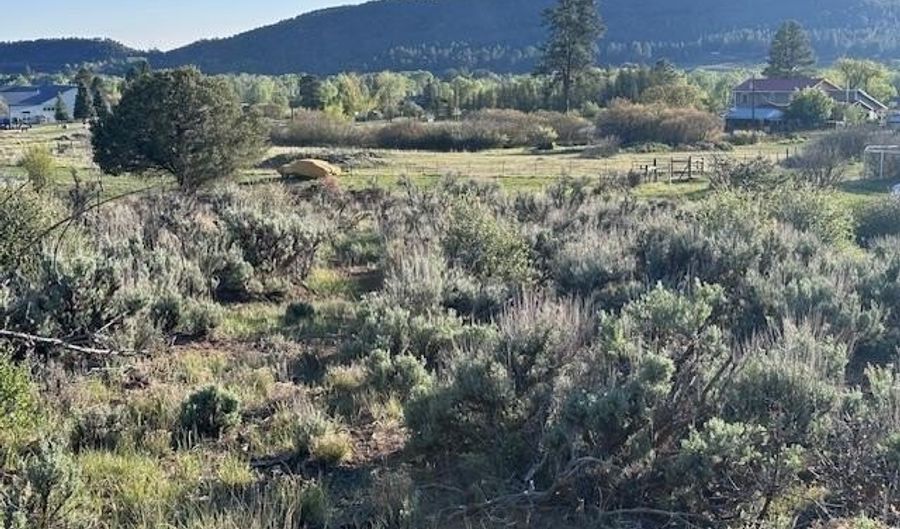 Lot 15 Primrose Lane, Bayfield, CO 81122 - 0 Beds, 0 Bath