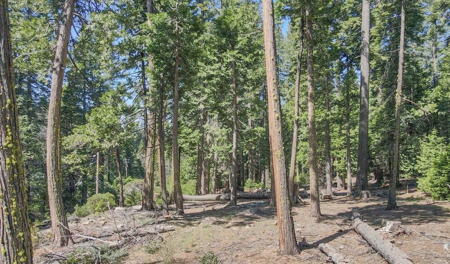 403 Sierra Pkwy, Camp Connell, CA 95223 - 0 Beds, 0 Bath