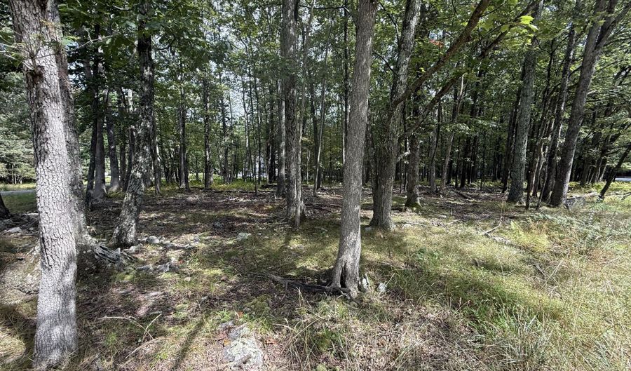 1410 Mohawk Trl, Albrightsville, PA 18210 - 0 Beds, 0 Bath