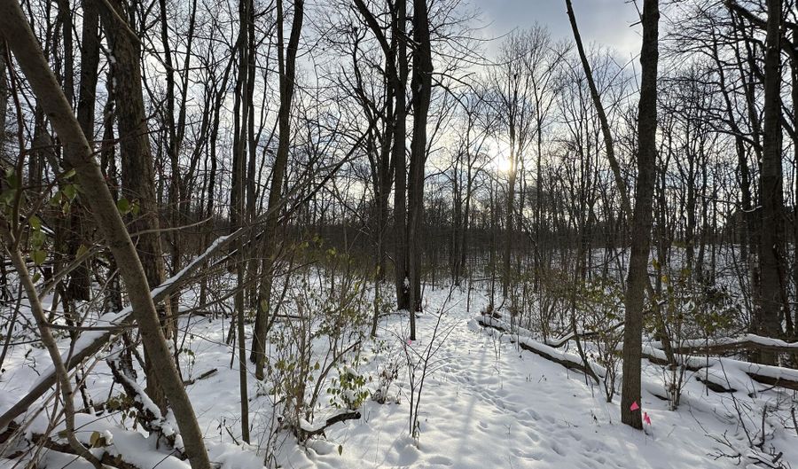 2770 S Wagner Rd, Ann Arbor, MI 48103 - 3 Beds, 1 Bath