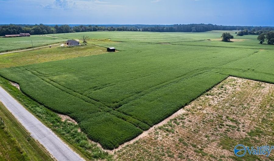 30 Acres Stevenson Rd, Ardmore, TN 38449 - 0 Beds, 0 Bath