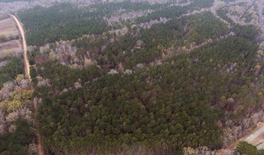 Bright Road, Ackerman, MS 39735 - 0 Beds, 0 Bath