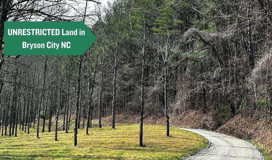 Battle Branch Rd NA, Bryson City, NC 28713 - 0 Beds, 0 Bath