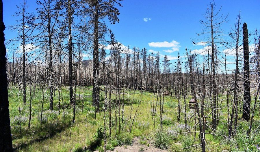2025 Granite Rd, Bellvue, CO 80512 - 0 Beds, 0 Bath