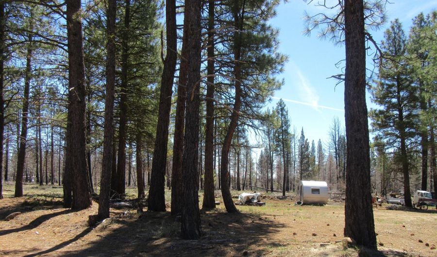 56236 Parazoo Trl, Bly, OR 97622 - 3 Beds, 2 Bath