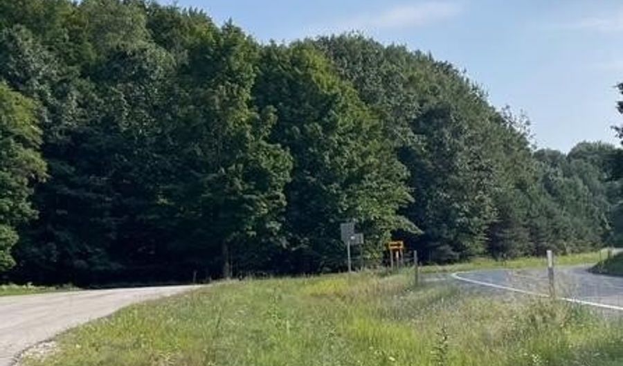 M22 Northwood Hwy, Arcadia, MI 49613 - 0 Beds, 0 Bath