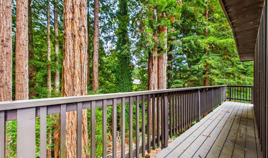 113 Sylva St, Arcata, CA 95521 - 3 Beds, 2 Bath