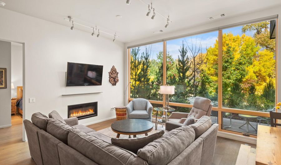 100 EVANS Road 102, Basalt, CO 81621 - 2 Beds, 2 Bath