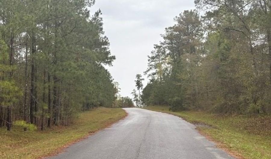 Lot 1 Allison Drive, Bainbridge, GA 39819 - 0 Beds, 0 Bath