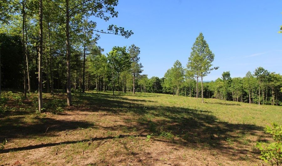 Tower Hill Rd, Appomattox, VA 24522 - 0 Beds, 0 Bath