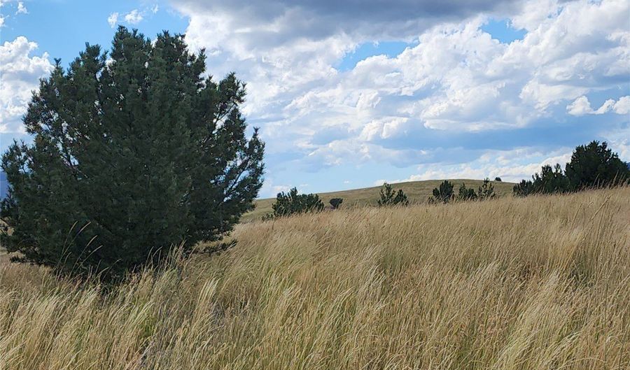 GOV LOTS 1-5, Anaconda, MT 59711 - 0 Beds, 0 Bath