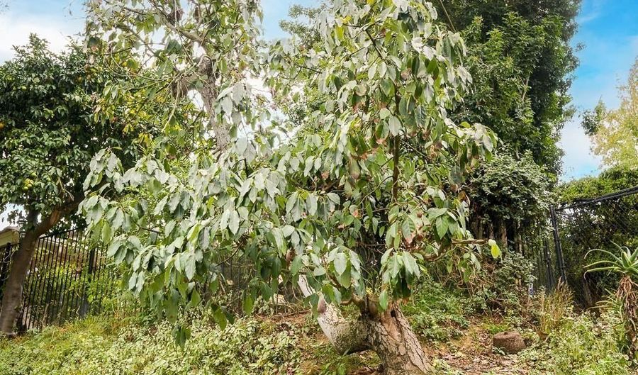 2719 Via Del Robles, Fallbrook, CA 92028 - 3 Beds, 3 Bath