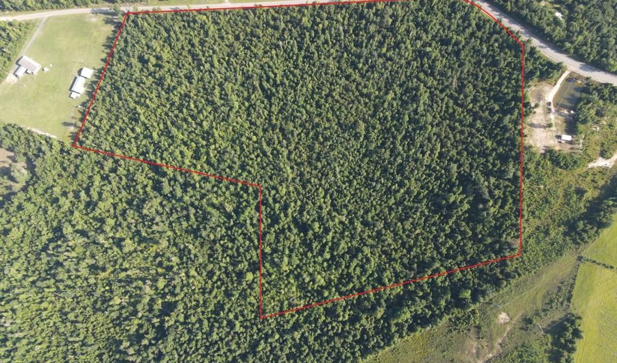 TBD NW Shuman Ferry Rd, Altha, FL 32421 - 0 Beds, 0 Bath