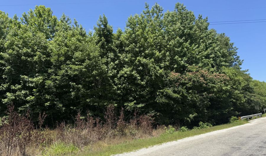 726 Rocky Springs Rd, Beech Bluff, TN 38313 - 0 Beds, 0 Bath