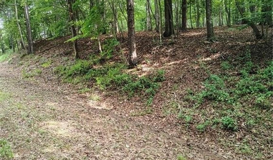 0000 Ararat, Ararat, VA 24053 - 0 Beds, 0 Bath