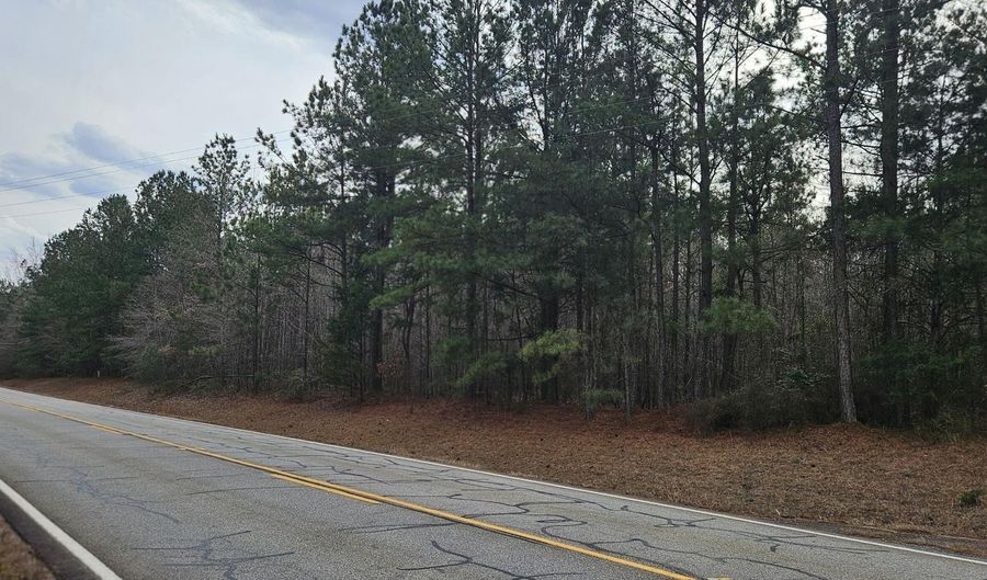 0 HWY 220 TRACT B, Lincolnton, GA 30817 - 0 Beds, 0 Bath