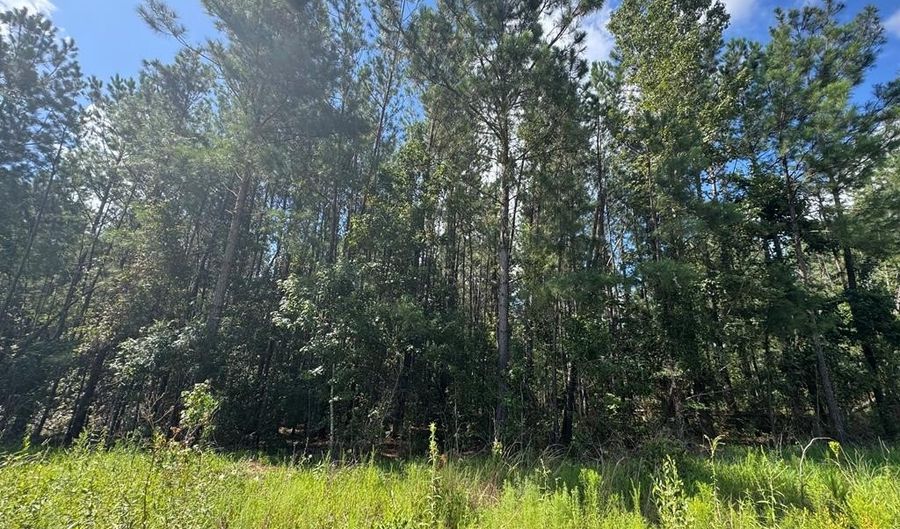 0 Dubberly Rd, Baxley, GA 31513 - 0 Beds, 0 Bath