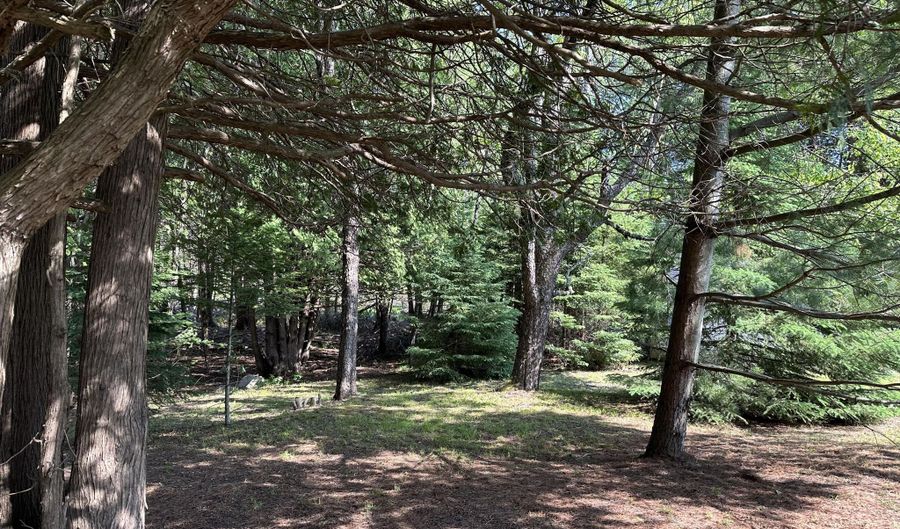 7763 Lagoon Dr, Alanson, MI 49706 - 3 Beds, 2 Bath
