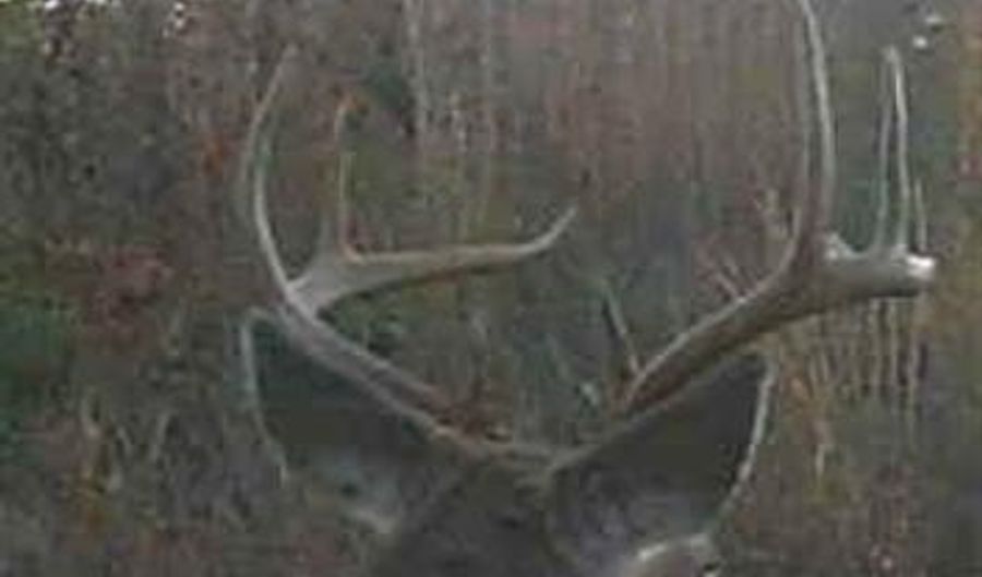 Off Hwy F, Annapolis, MO 63620 - 0 Beds, 0 Bath