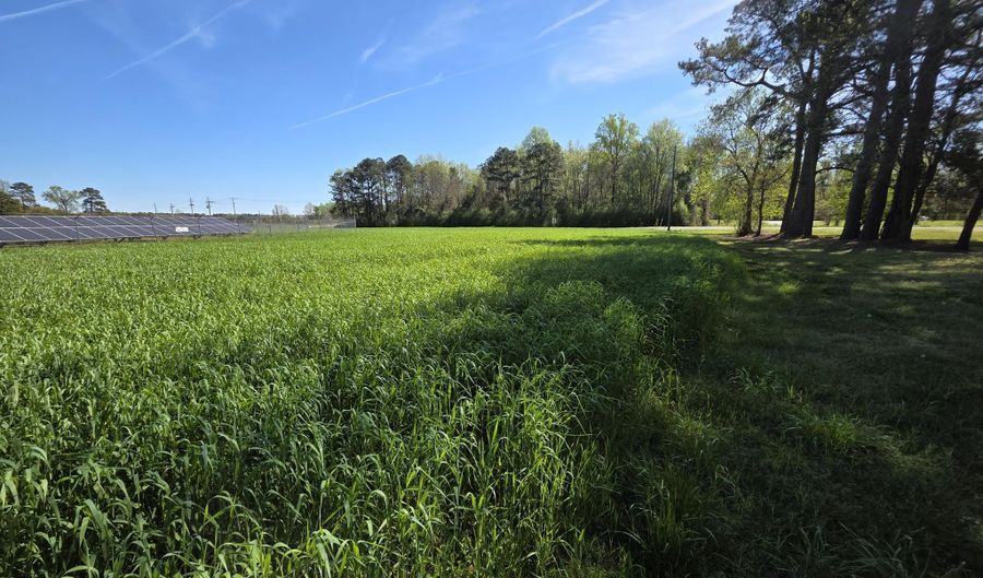 N Nc 111 And 903 Hwy, Albertson, NC 28508 - 0 Beds, 0 Bath