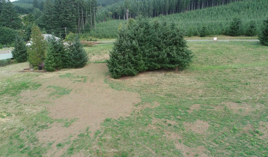 124 Norms Pkwy 1, Ariel, WA 98603 - 0 Beds, 0 Bath