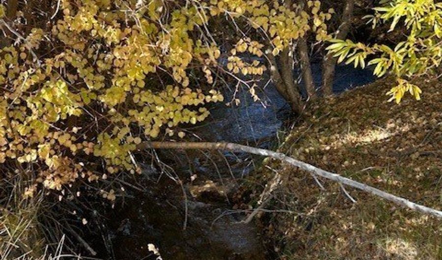 700 Davis Meadow Trl, Dyer, NV 89010 - 0 Beds, 0 Bath