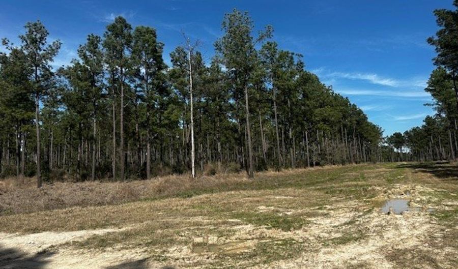 5-6 Laird Lane FM 357, Apple Springs, TX 75926 - 0 Beds, 0 Bath