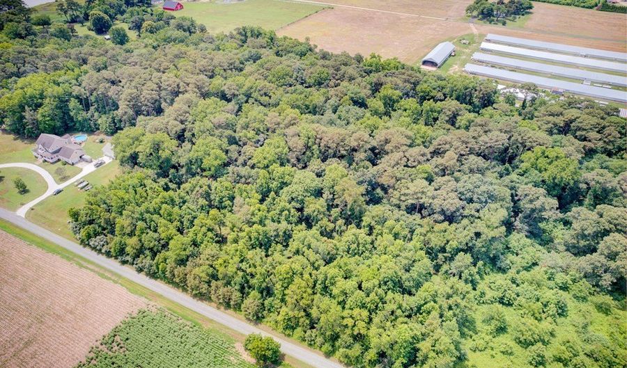 16 MT WHARTON Rd Lot 16, Atlantic, VA 23303 - 0 Beds, 0 Bath