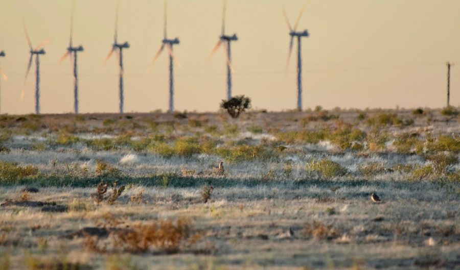 State Highway 214, Adrian, TX 79001 - 0 Beds, 0 Bath