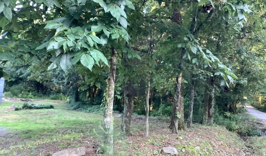 148 Wolf Hollow Rd, Bald Knob, AR 72010 - 0 Beds, 0 Bath