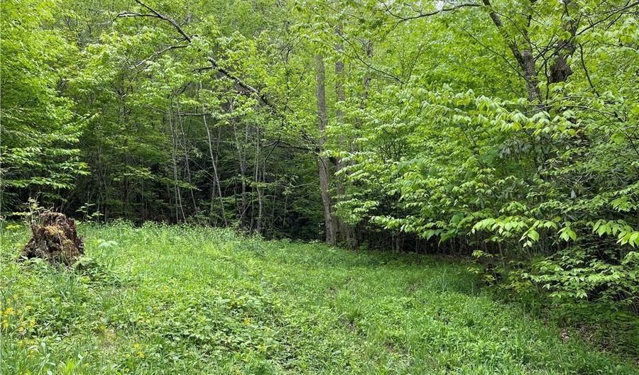 Lot 22 Meadow Avenue, Banner Elk, NC 28604 - 0 Beds, 0 Bath