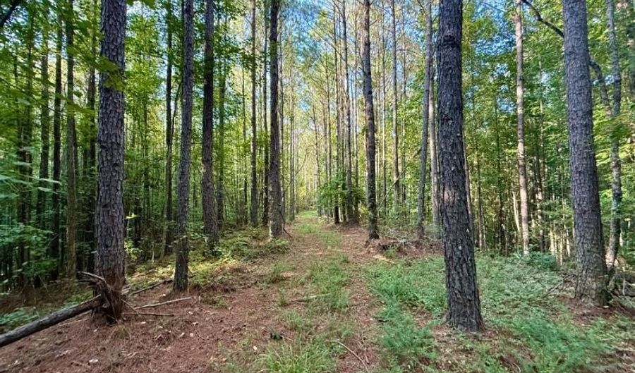 874 E Hwy 30, Booneville, MS 38829 - 0 Beds, 0 Bath