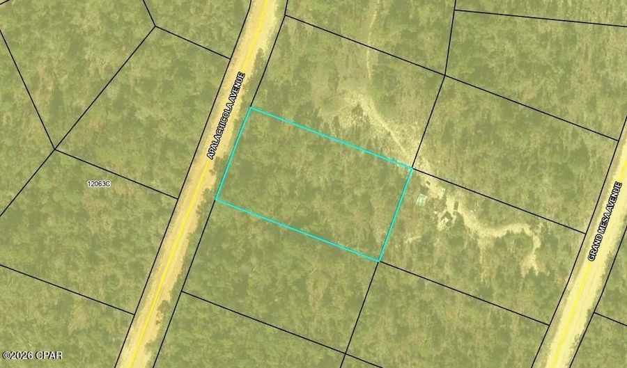 Apalachicola Avenue, Alford, FL 32420 - 0 Beds, 0 Bath