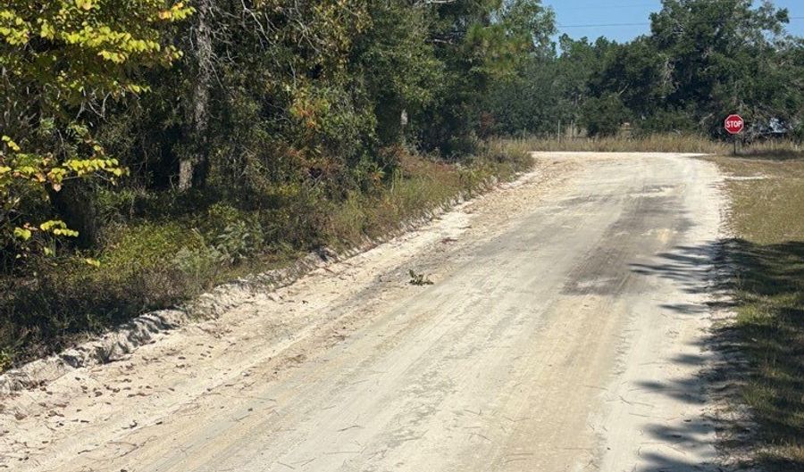 Lot 10 16th Ave, Bell, FL 32619 - 0 Beds, 0 Bath