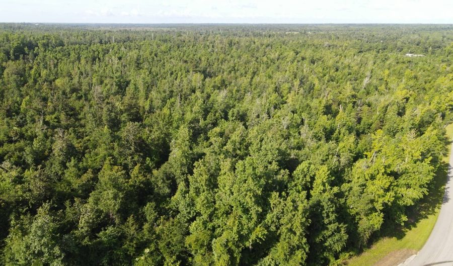 NW Shuman Ferry Rd, Altha, FL 32421 - 0 Beds, 0 Bath