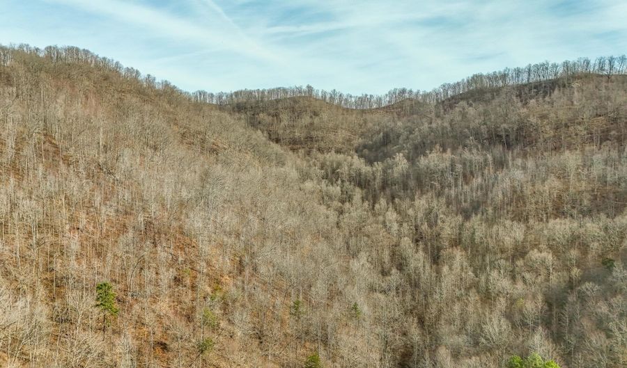 9999 Honeycutt Branch Turkey Crk, Barbourville, KY 40906 - 0 Beds, 0 Bath