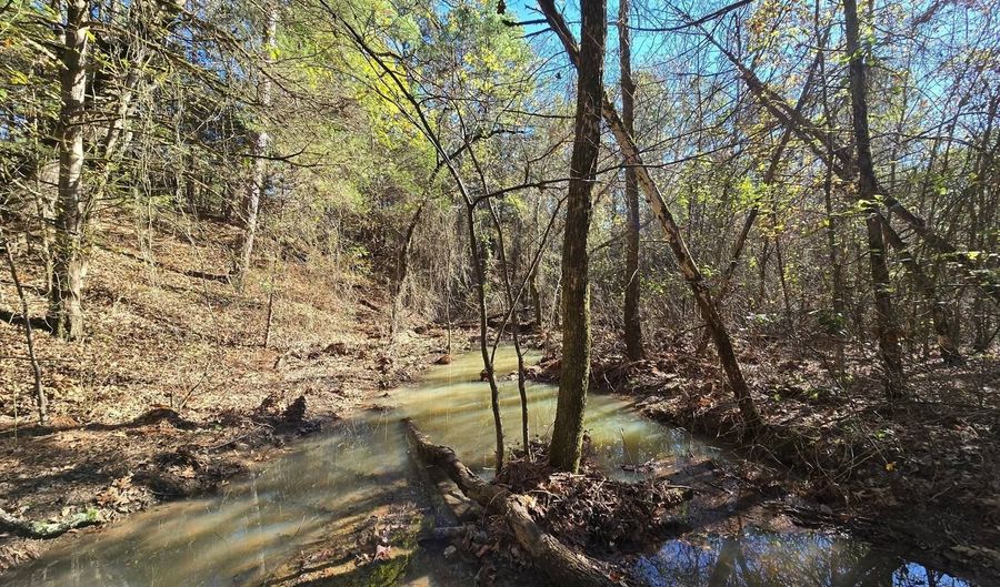 TBD Raw Land, Bates, AR 72958 - 0 Beds, 0 Bath