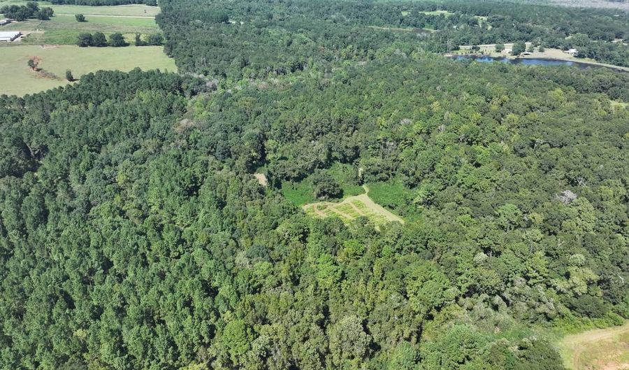 4496 State Hwy 130, Banks, AL 36005 - 3 Beds, 3 Bath