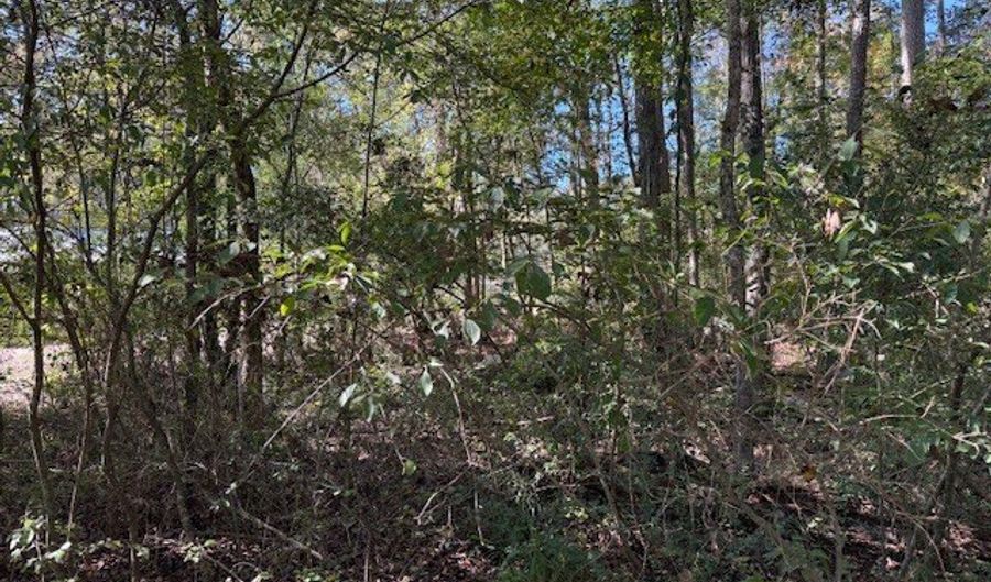 650 Taft Ave, Attalla, AL 35954 - 0 Beds, 0 Bath