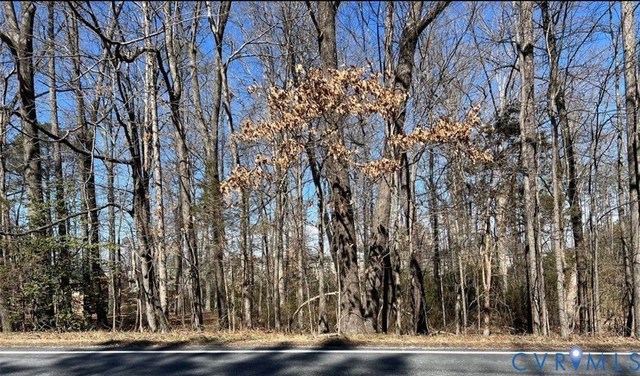 0 Lewistown Rd, Ashland, VA 23005 - 0 Beds, 0 Bath